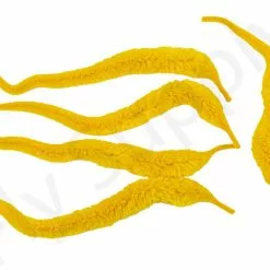 Cascade Mangums Dragon Tails 5pc -Hengel Sets Winkel Cascade Magnums Dragon Tails 5pc CASC MDT X dsc09723 bewerkt