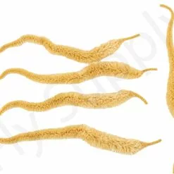 Cascade Micro Dragon Tails 5pc -Hengel Sets Winkel Cascade Micro Dragon Tails 5pc CASC MIDT X dsc09726 bewerkt