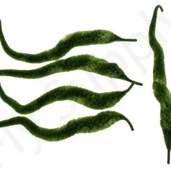 Cascade Micro Dragon Tails 5pc -Hengel Sets Winkel Cascade Micro Dragon Tails 5pc CASC MIDT X dsc09730 bewerkt