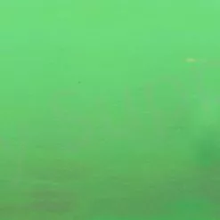 Chameleon Sheeting -Hengel Sets Winkel Chameleon Sheeting 24 50XXX dsc06768 wm