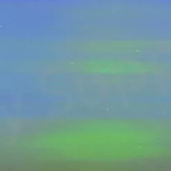 Chameleon Sheeting -Hengel Sets Winkel Chameleon Sheeting 24 50XXX dsc06782 wm