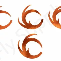 Dragon Tails XL 4pc Original Pacchiarini's -Hengel Sets Winkel Dragon Tails XL 4pc Original Pacchiarinis FSTYING DTXL X dsc08652