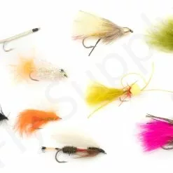 Euro Flies Access Allround Trout & Perch Complete Set #6 - 9ft -Hengel Sets Winkel Euro Flies Access Allround Trout Perch Complete Set 6 9ft EF ACCSET 6 9ft dsc06392
