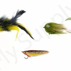 Euro Flies Explorer Predator Pike & Seabass Complete Set #8 - 9ft -Hengel Sets Winkel Euro Flies Explorer Predator Pike Seabass Complete Set 8 9ft EF EXPLSET 8 90ft dsc00470 bewerkt