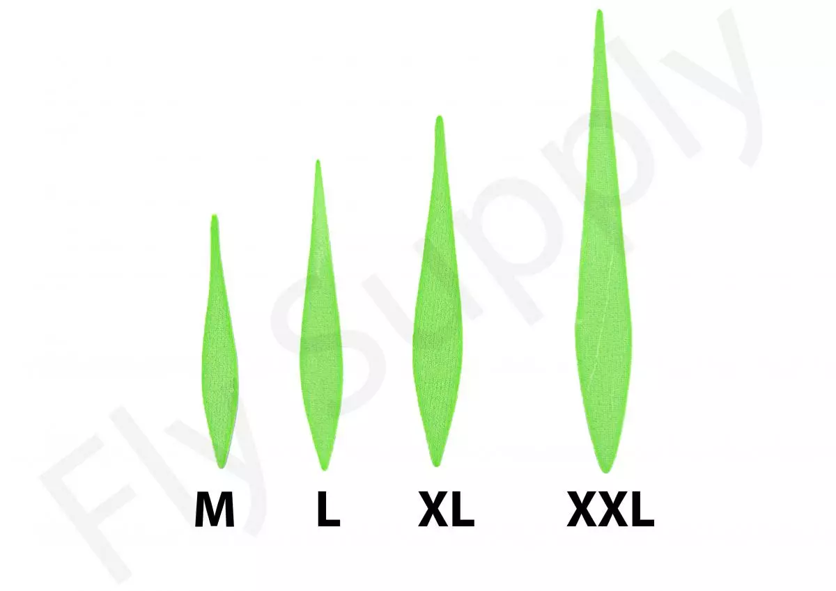 Pacchiarini's Wave Tails Large 5 Pacchiarini's Wave Tails Large - Afbeelding 3