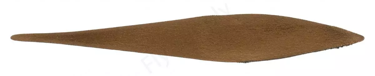 Pacchiarini's Wave Tails XL 15 Pacchiarini's Wave Tails XL - Afbeelding 13