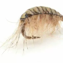 Pro Sportfisher Gammarus Black Backs -Hengel Sets Winkel Pro Sportfisher Gammarus Black Backs PROGAMBACK XXX gammerus 1 1