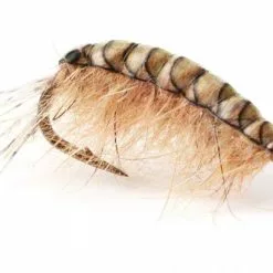 Pro Sportfisher Gammarus Black Backs -Hengel Sets Winkel Pro Sportfisher Gammarus Black Backs PROGAMBACK XXX gammerus 2 1