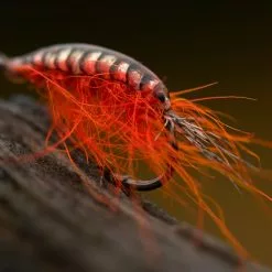 Pro Sportfisher Gammarus Black Backs -Hengel Sets Winkel Pro Sportfisher Gammarus Black Backs PROGAMBACK XXX orange ps scud by agen sjberg 02 1