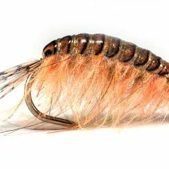 Pro Sportfisher Gammarus Black Backs -Hengel Sets Winkel Pro Sportfisher Gammarus Black Backs PROGAMBACK XXX pro sportfisher gammarusgoedblack backs progamback xxx gammarus by lucian 1