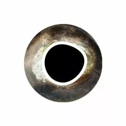 Pro Sportfisher Cooleyes -Hengel Sets Winkel Pro Sportfisher Pro Cooleyes PROCOOLEYES XXX cooleye brown 6mm 1