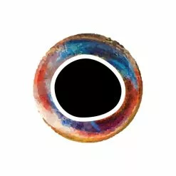 Pro Sportfisher Cooleyes -Hengel Sets Winkel Pro Sportfisher Pro Cooleyes PROCOOLEYES XXX cooleye rainbow 6mm 1