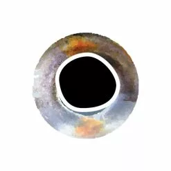 Pro Sportfisher Cooleyes -Hengel Sets Winkel Pro Sportfisher Pro Cooleyes PROCOOLEYES XXX cooleye silver 6mm 1