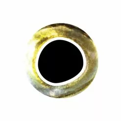 Pro Sportfisher Cooleyes -Hengel Sets Winkel Pro Sportfisher Pro Cooleyes PROCOOLEYES XXX cooleye yellow silver 6mm 1