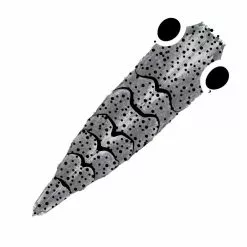 Pro Sportfisher Shrimp Shell G2 -Hengel Sets Winkel Pro Sportfisher Shrimp Shell G2 PROSHRSHELLG2 XXX gen 2 grey large