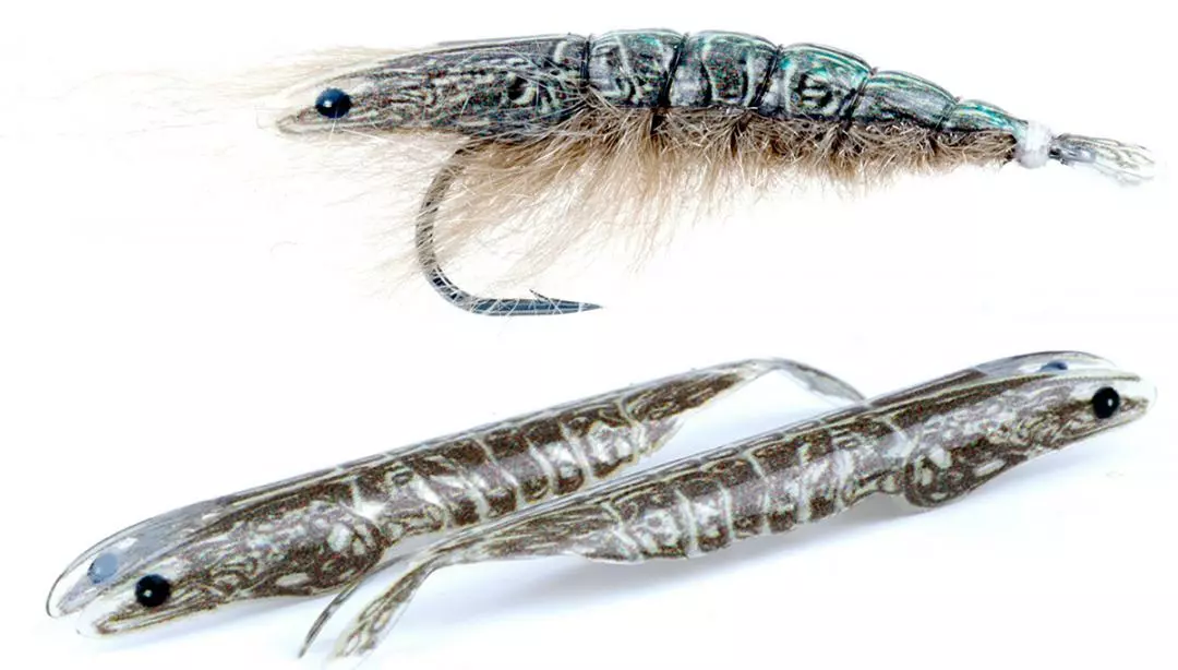 Pro Sportfisher Shrimp Shell Skeletor 3 Pro Sportfisher Shrimp Shell Skeletor