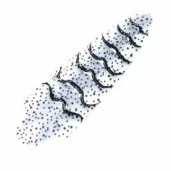 Pro Sportfisher Shrimp Shell WOE