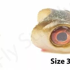 Realistic Fish Head 3D -Hengel Sets Winkel Realistic Fish Head 3D REALHEAD3D XXXX dsc05641 bewerkt