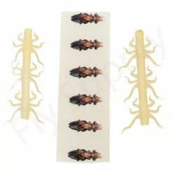 Realistic Legs & Wings 6pc