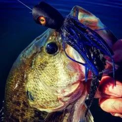 Surface Seducer Dragon Eyes 20pc -Hengel Sets Winkel Surface Seducer Dragon Eyes 20pc DRAGONEYES XXX dragon eyes mix3