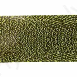 Thin Skin Mottled Bustard -Hengel Sets Winkel Thin skin Mottled Bustard 26 02XXX dsc09554 bewerkt