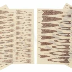 Tiemco Realistic Fly Wings III -Hengel Sets Winkel Tiemco Realistic Fly Wings III TMC REALWING XXX dsc00866 bewerkt wm