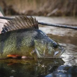 Vision XO Predator Reel -Hengel Sets Winkel Vision XO Predator Reel VPR XXX at2a4769