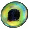 3D Epoxy Fish Eyes Dorado