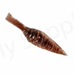 Realistic Nymph Backs 12mm 10pc -Hengel Sets Winkel img 1445 bewerkt wm