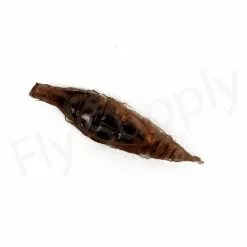 Realistic Nymph Backs 16mm 10pc -Hengel Sets Winkel img 1461 bewerkt wm