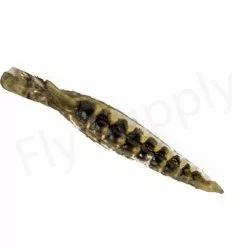 Realistic Nymph Backs 20mm 10pc -Hengel Sets Winkel img 1498 bewerkt wm