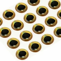 Voorpagina -Hengel Sets Winkel rainbowgold3depoxy