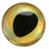3D Epoxy Fish Eyes Rainbow Gold 1 3D Epoxy Fish Eyes Rainbow Gold -Hengel Sets Winkel rainbowgold3depoxy1