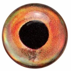 3D Epoxy Fish Eyes Roach